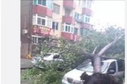 大连西岗最新爆料,揭秘城市变迁中的热点事件