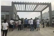 泰安幼儿园爆料视频最新,揭秘园内惊人一幕