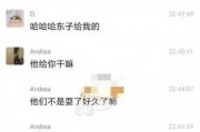 公务员美女被爆料视频,真相与争议