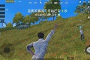 娱乐大瓜在线吃鸡游戏,在线吃鸡游戏，畅享欢乐竞技盛宴