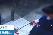 小男孩爆料教材视频在线观看,教材视频在线观看背后的故事