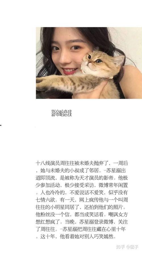 吃瓜娱乐圈系列小说推荐